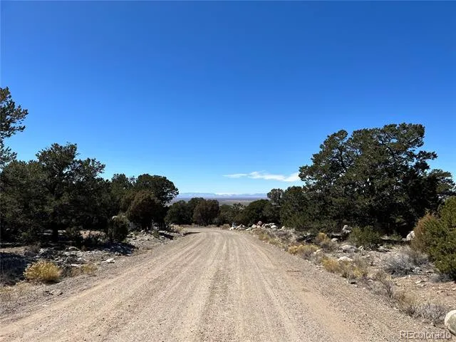 4219 Al Fresco Way Crestone, CO 81131