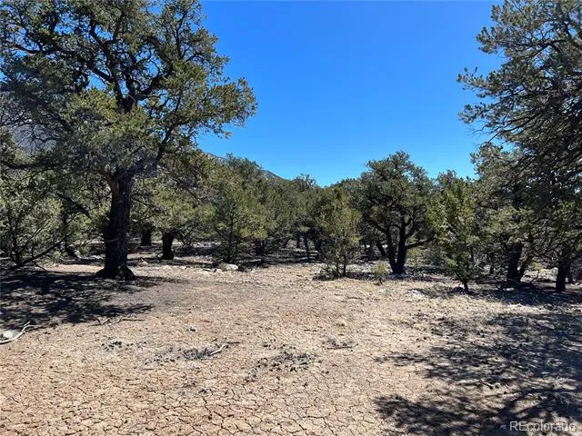 4219 Al Fresco Way Crestone, CO 81131
