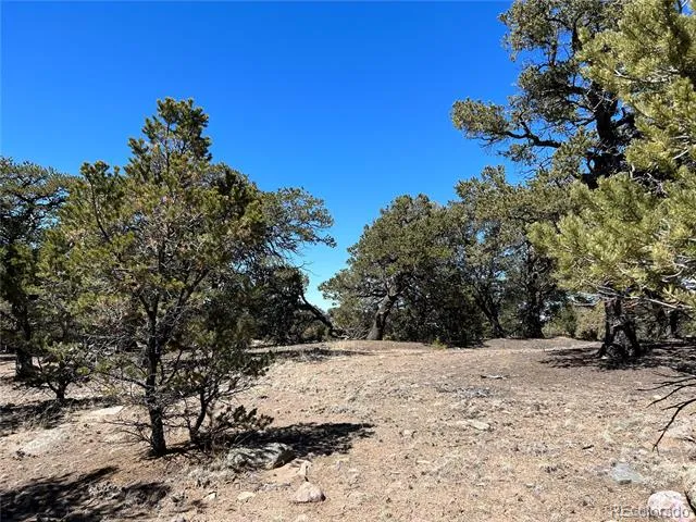 4219 Al Fresco Way Crestone, CO 81131