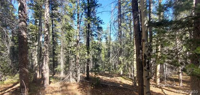 Lot 3023 & 3024 Bolwell Lane Fort Garland, CO 81133
