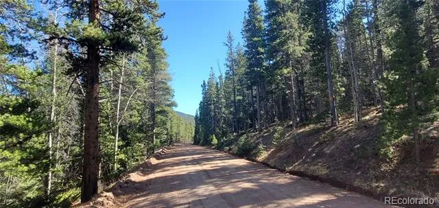Lot 3023 & 3024 Bolwell Lane Fort Garland, CO 81133
