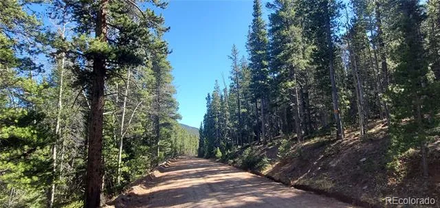 Lot 3023 & 3024 Bolwell Lane Fort Garland, CO 81133