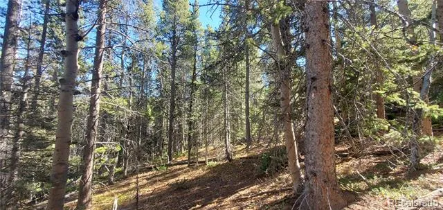 Lot 3023 & 3024 Bolwell Lane Fort Garland, CO 81133