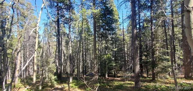 Lot 3023 & 3024 Bolwell Lane Fort Garland, CO 81133