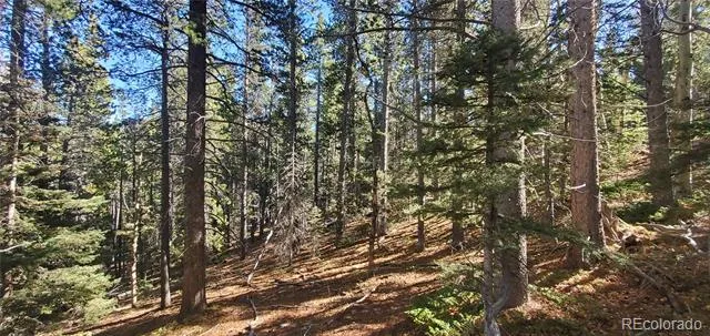 Lot 3023 & 3024 Bolwell Lane Fort Garland, CO 81133