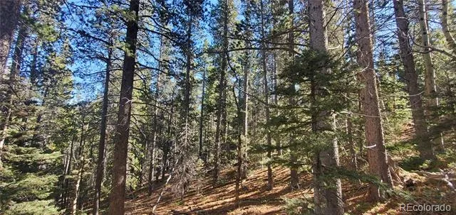 Lot 3023 & 3024 Bolwell Lane Fort Garland, CO 81133