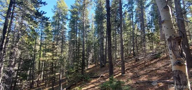 Lot 3023 & 3024 Bolwell Lane Fort Garland, CO 81133