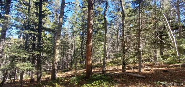 Lot 3023 & 3024 Bolwell Lane Fort Garland, CO 81133