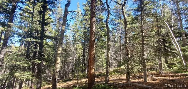 Lot 3023 & 3024 Bolwell Lane Fort Garland, CO 81133