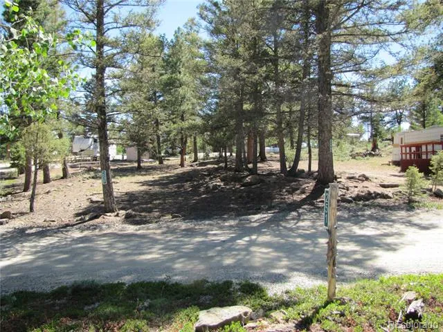251 Pullman Loop Hartsel, CO 80449