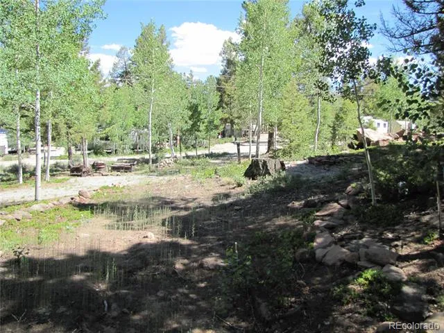251 Pullman Loop Hartsel, CO 80449
