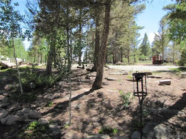 251 Pullman Loop Hartsel, CO 80449