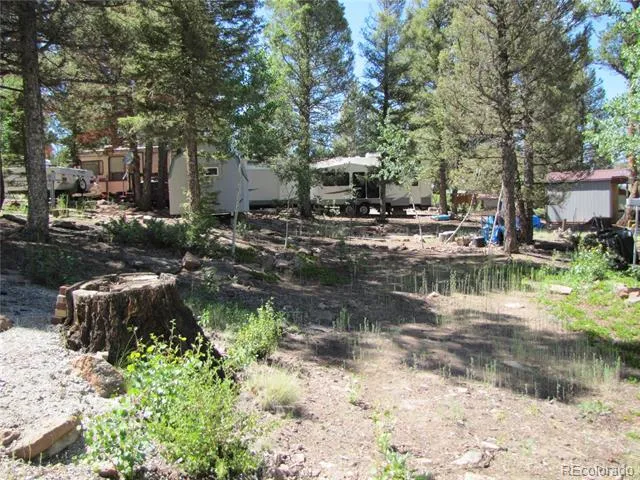 251 Pullman Loop Hartsel, CO 80449
