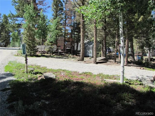 251 Pullman Loop Hartsel, CO 80449