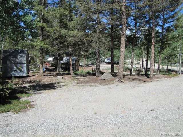 251 Pullman Loop Hartsel, CO 80449