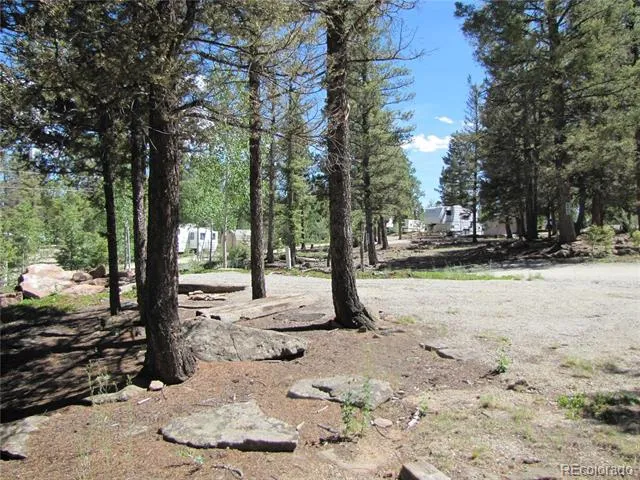 251 Pullman Loop Hartsel, CO 80449