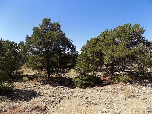 Little Bear Road Mosca, CO 81146