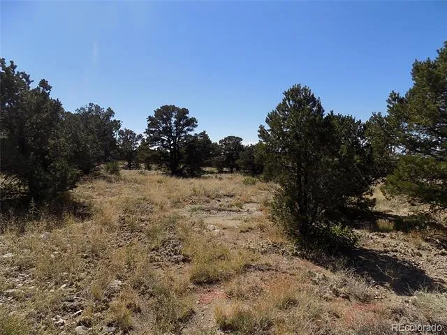 Little Bear Road Mosca, CO 81146