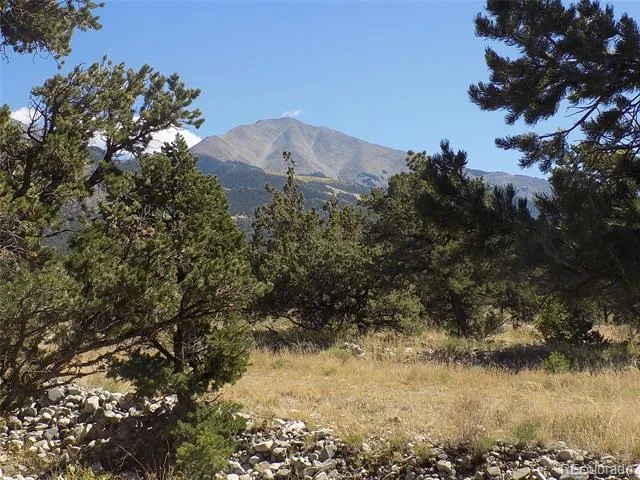 Little Bear Road Mosca, CO 81146