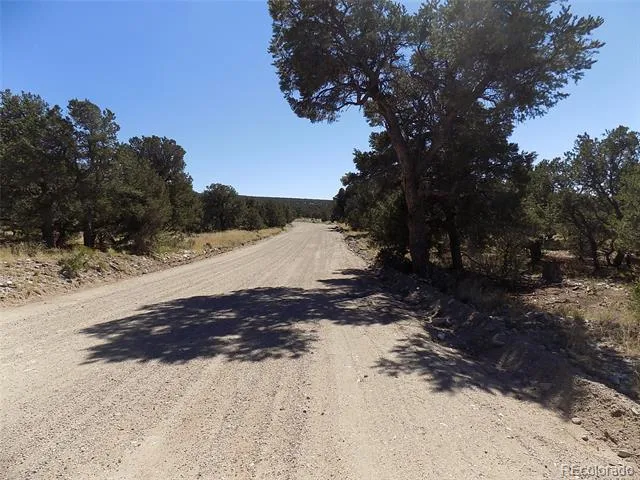 Little Bear Road Mosca, CO 81146