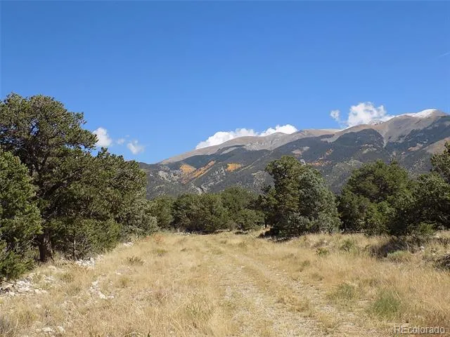Little Bear Road Mosca, CO 81146