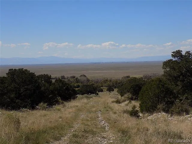 Little Bear Road Mosca, CO 81146