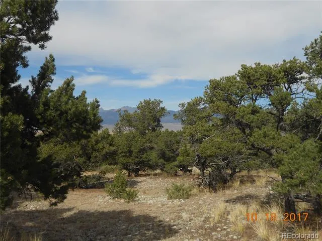 Little Bear Road Mosca, CO 81146