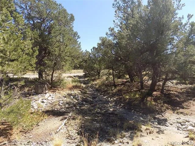Little Bear Road Mosca, CO 81146