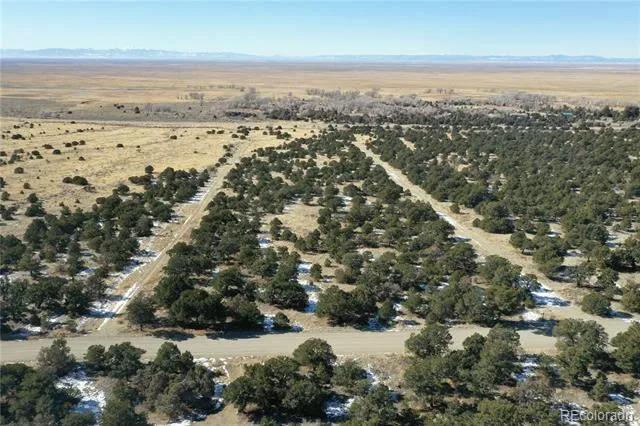 Little Bear Road Mosca, CO 81146