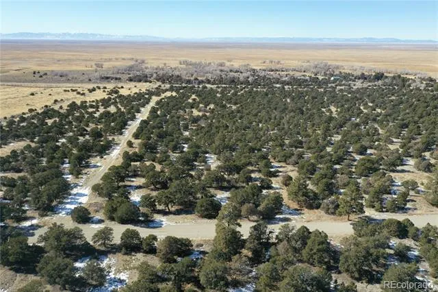 Little Bear Road Mosca, CO 81146