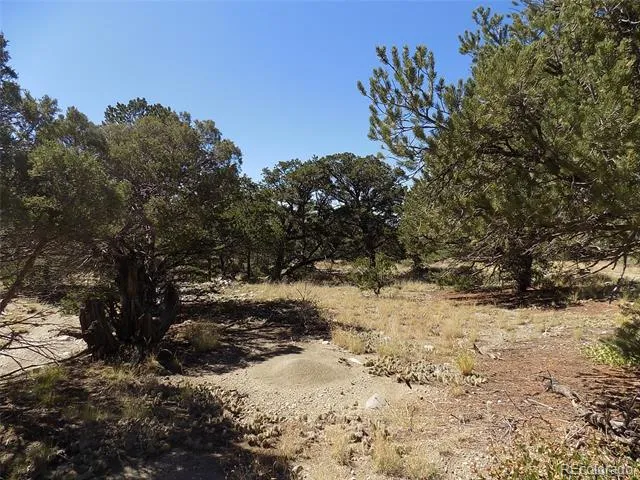 Little Bear Road Mosca, CO 81146