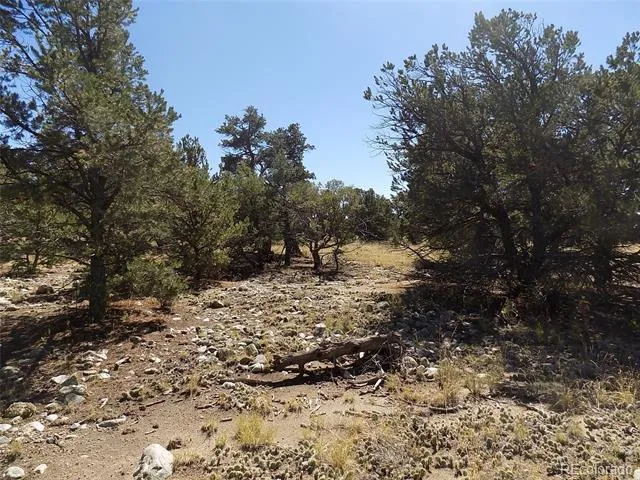 Little Bear Road Mosca, CO 81146