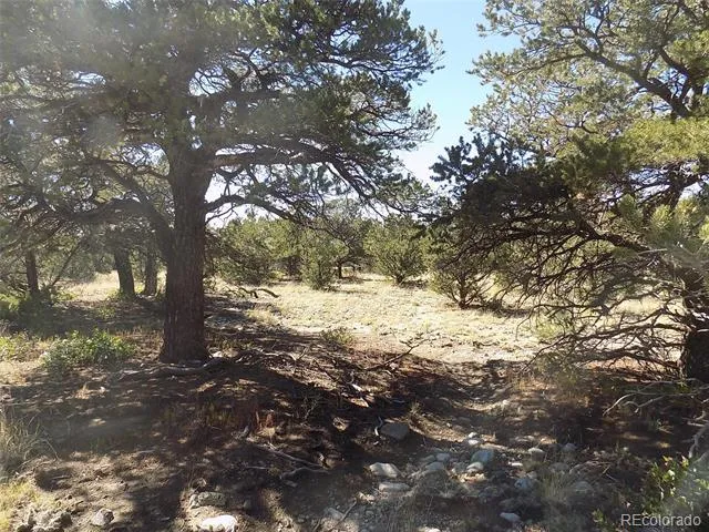 Little Bear Road Mosca, CO 81146