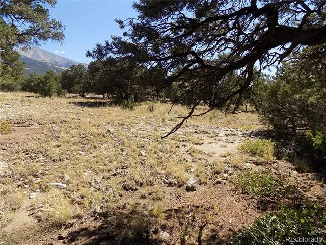 Little Bear Road Mosca, CO 81146