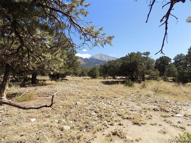 Little Bear Road Mosca, CO 81146