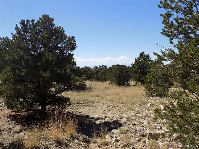 Little Bear Road Mosca, CO 81146