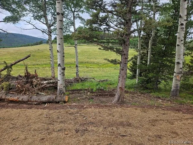 Address Not Shown Fort Garland, CO 81133