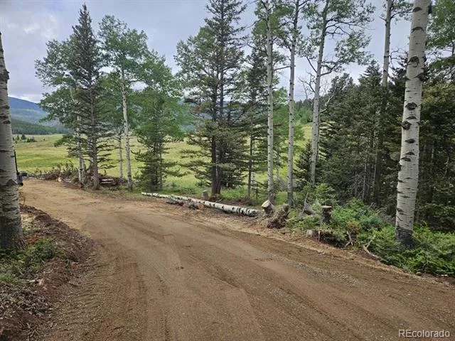 Address Not Shown Fort Garland, CO 81133