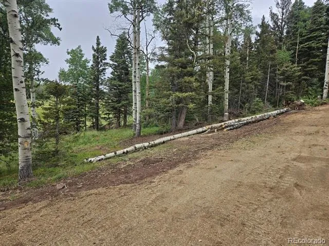 Address Not Shown Fort Garland, CO 81133