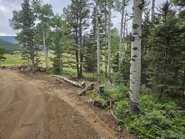 Address Not Shown Fort Garland, CO 81133