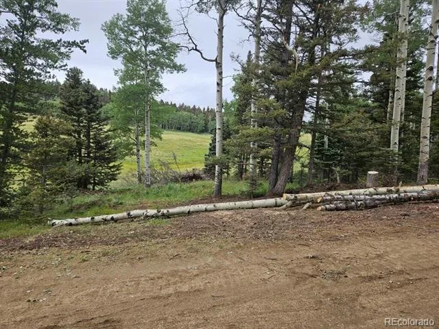 Address Not Shown Fort Garland, CO 81133