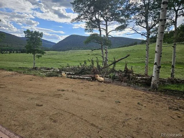 Address Not Shown Fort Garland, CO 81133