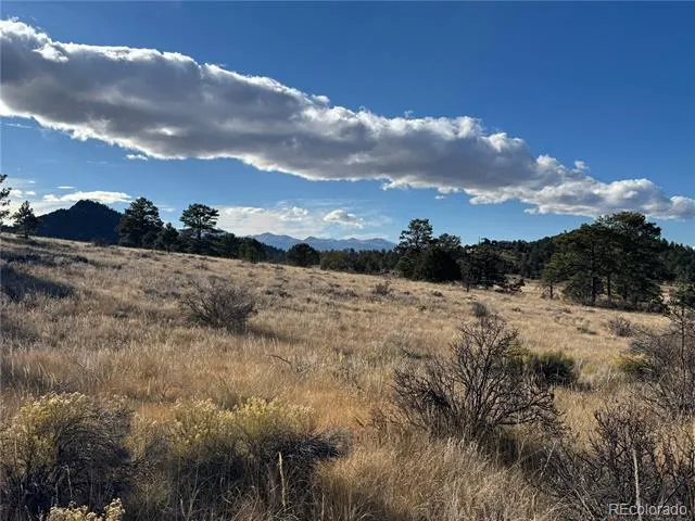 Lot 35 Stephens Drive Westcliffe, CO 81252
