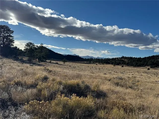 Lot 35 Stephens Drive Westcliffe, CO 81252