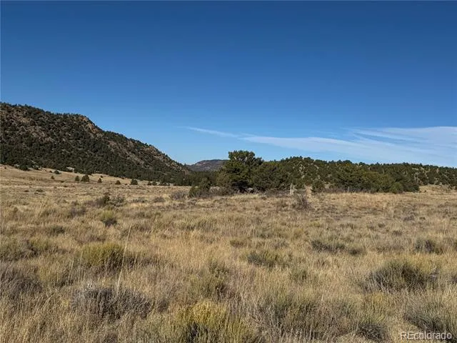 Lot 35 Stephens Drive Westcliffe, CO 81252