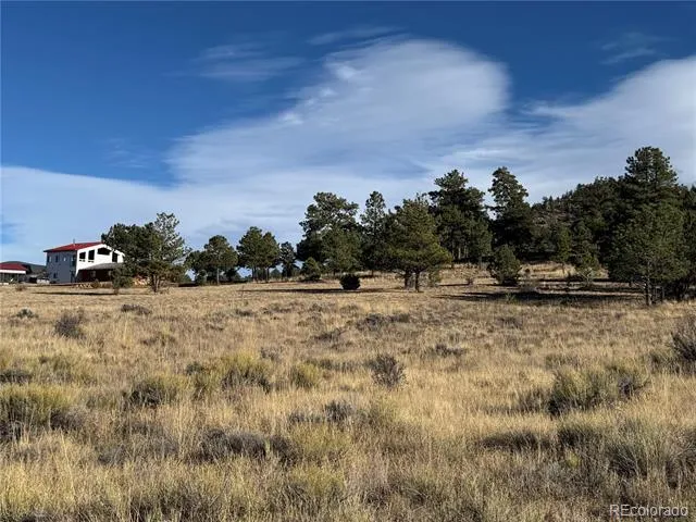 Lot 35 Stephens Drive Westcliffe, CO 81252
