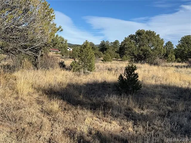 Lot 35 Stephens Drive Westcliffe, CO 81252
