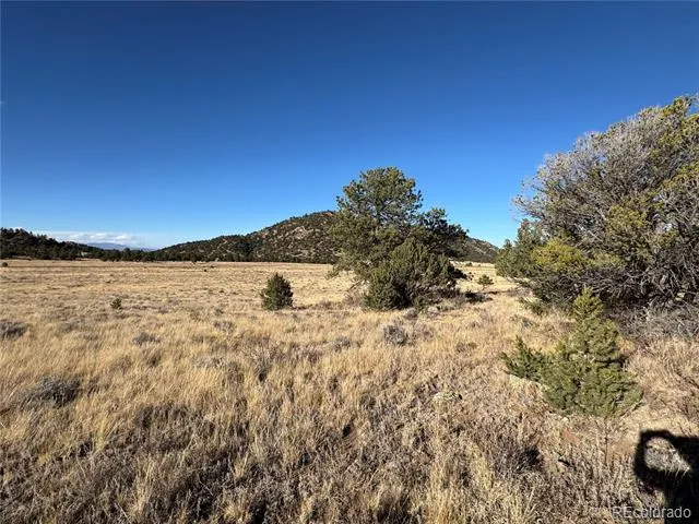 Lot 35 Stephens Drive Westcliffe, CO 81252