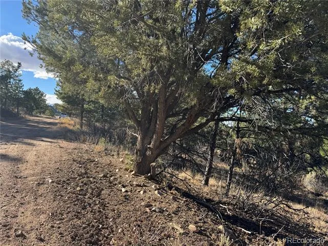 Lot 35 Stephens Drive Westcliffe, CO 81252