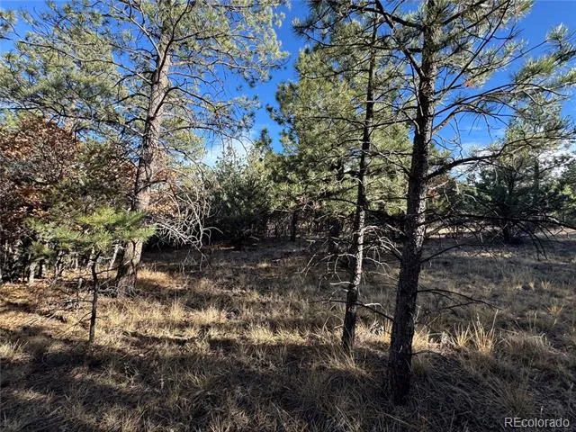 Lot 35 Stephens Drive Westcliffe, CO 81252
